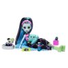 Dolls & Collectibles |   Monster High Creepover Party Frankie Doll & Accessories Dolls & Collectibles Dolls & Collectibles